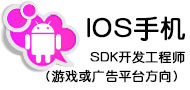 Web媒介执行/广告投放